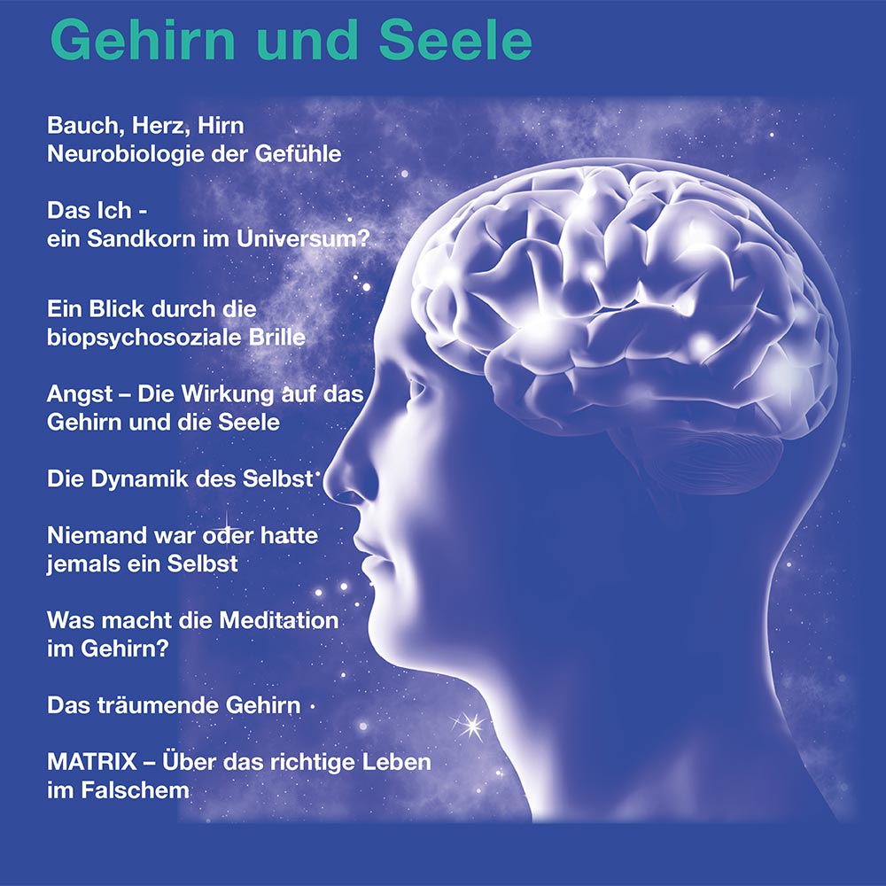 Heft 36